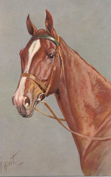 Featured is a horse postcard image ... the original equine-themed artist-signed (J Rivst) postcard is for sale in The unltd.com Store.